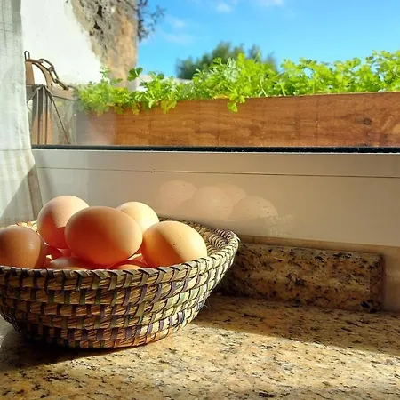 Casa Natura Ainhoa בית אירוח *